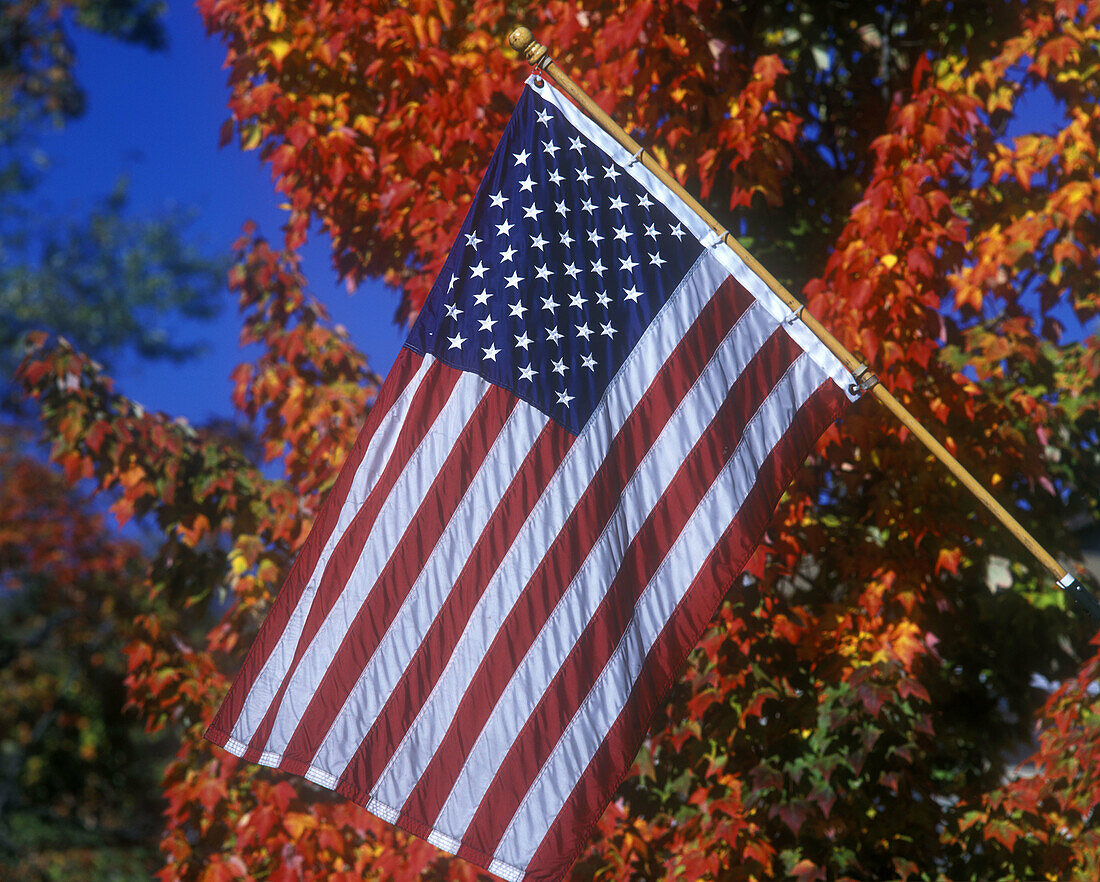 United states flag, Fall foliage, Pennsylvania, USA
