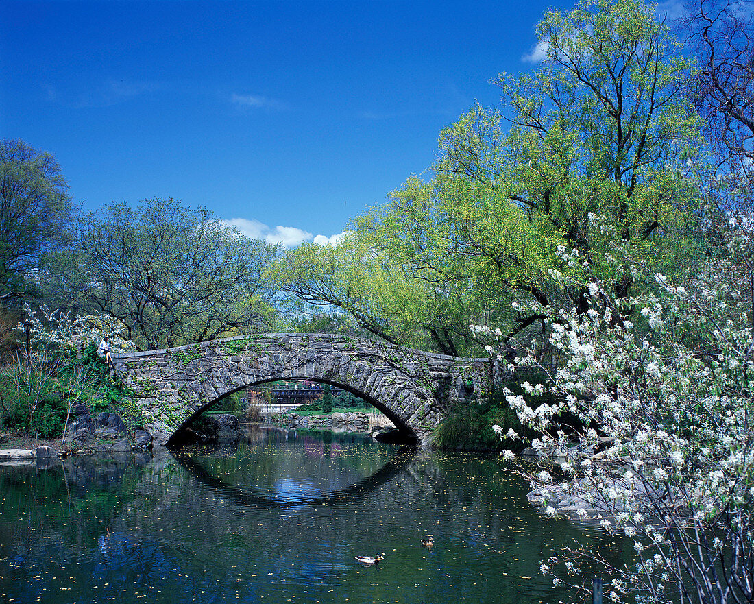 Capstow bridge, Pond, Central Park, Manhattan, New York, USA
