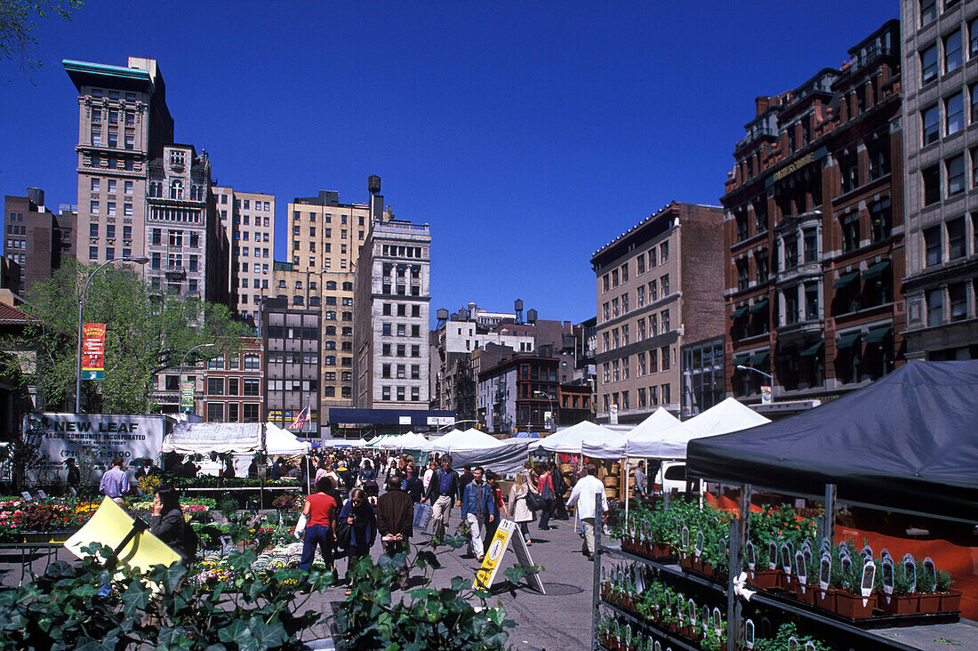 Greenmarket, Union square, Manhattan, New York, USA