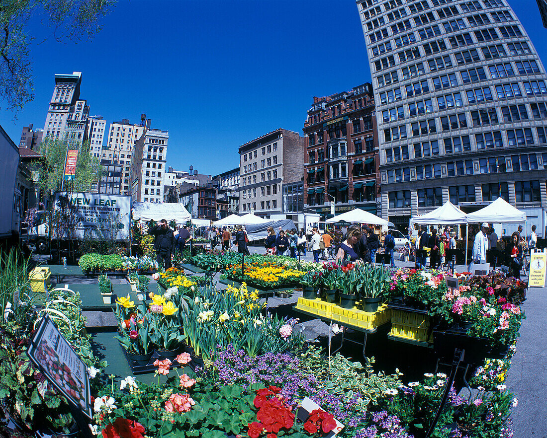 Greenmarket, Union square, Manhattan, New York, USA