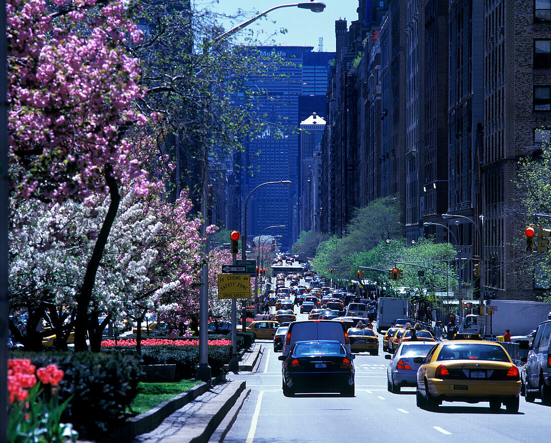 Taxi cabs, Park Avenue, Midtown, Manhattan, New York, USA