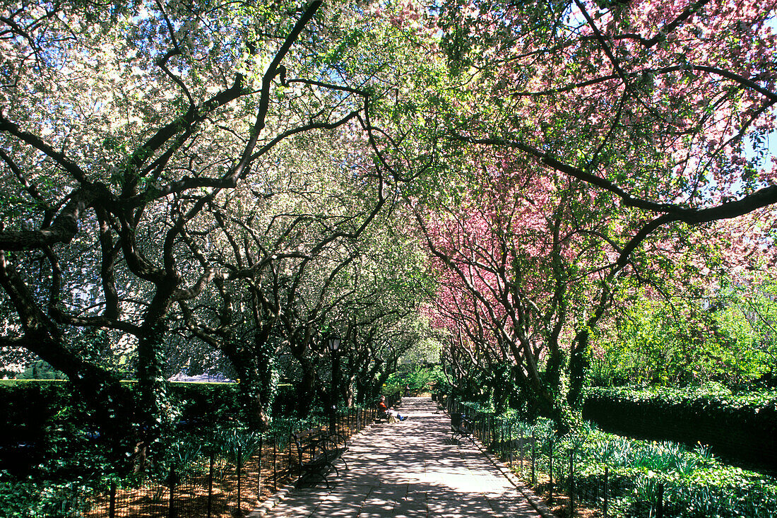 Path, Conservatory garden, Central Park, Manhattan, New York, USA