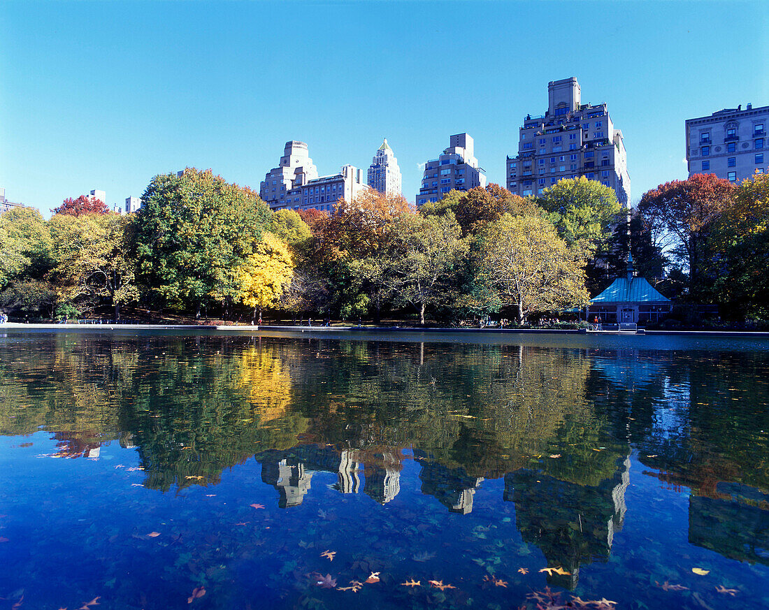 Model boat pond, Central Park east, Manhattan, New York, USA