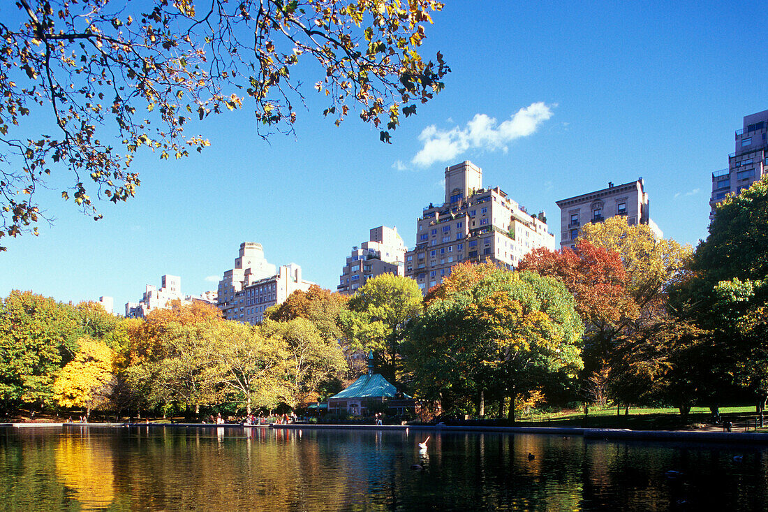 Model boat pond, Central Park east, Manhattan, New York, USA