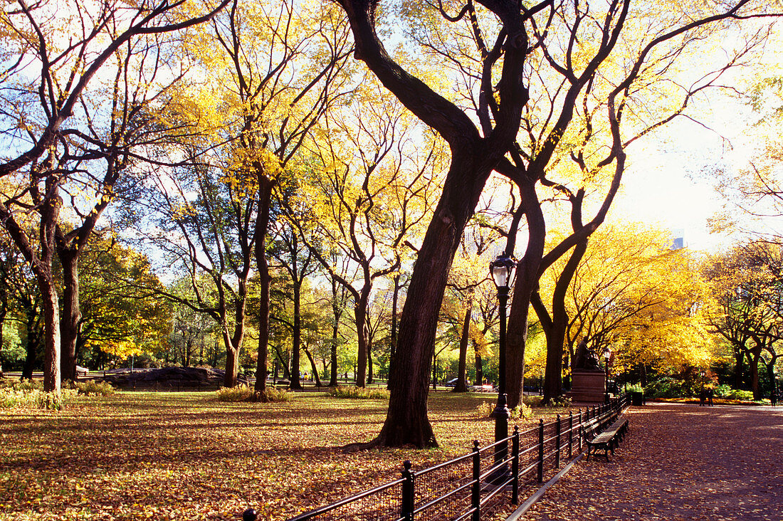 Walter scott statue, The mall, Central Park, Manhattan, New York, USA