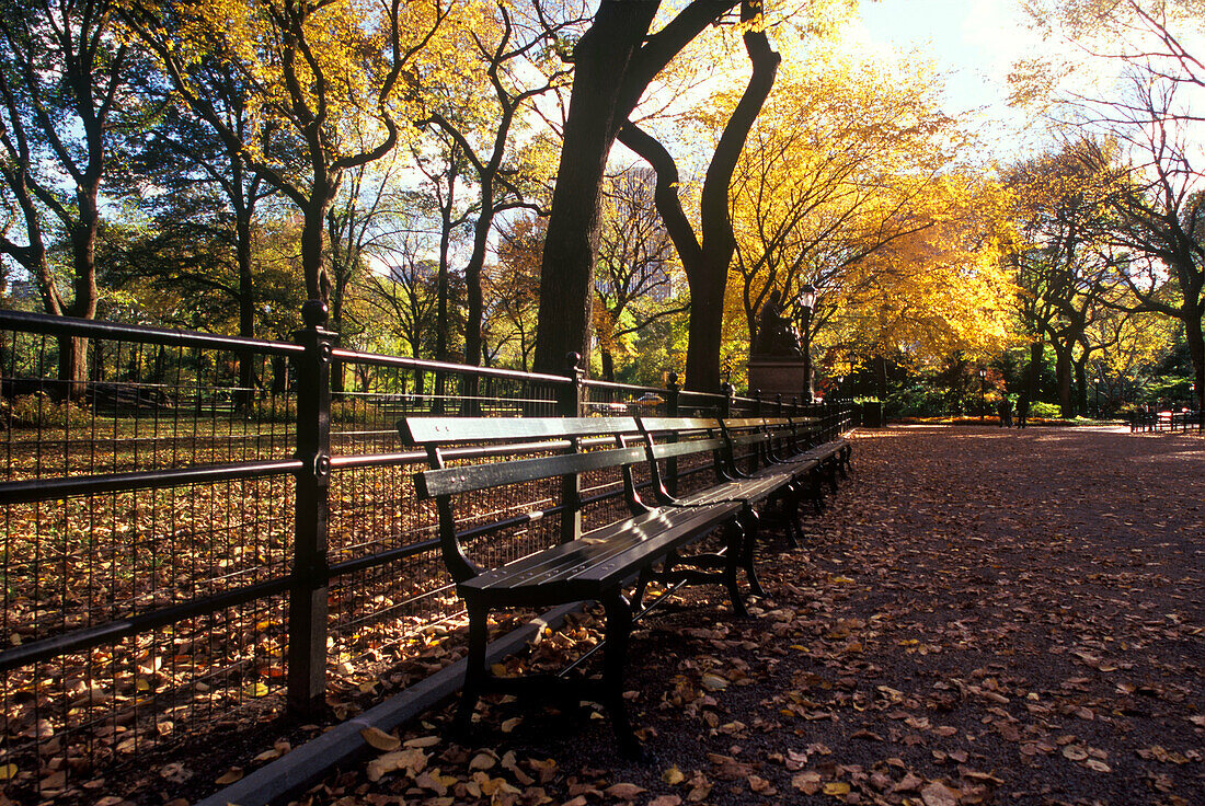 Park benches, The mall, Central Park, Manhattan, New York, USA