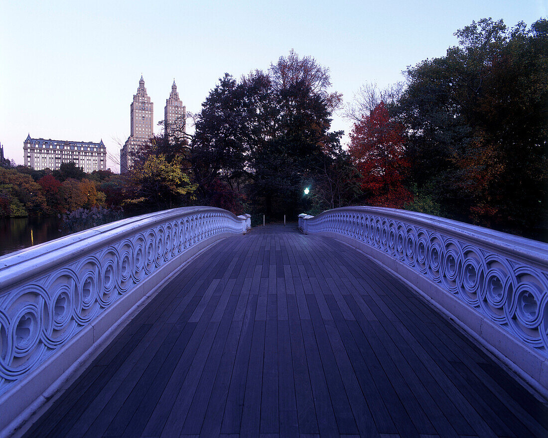 Bow bridge, Central Park, Manhattan, New York, USA