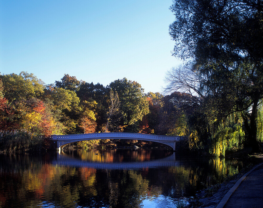 Bow bridge, The Lake, Central Park west, Manhattan, New York, USA