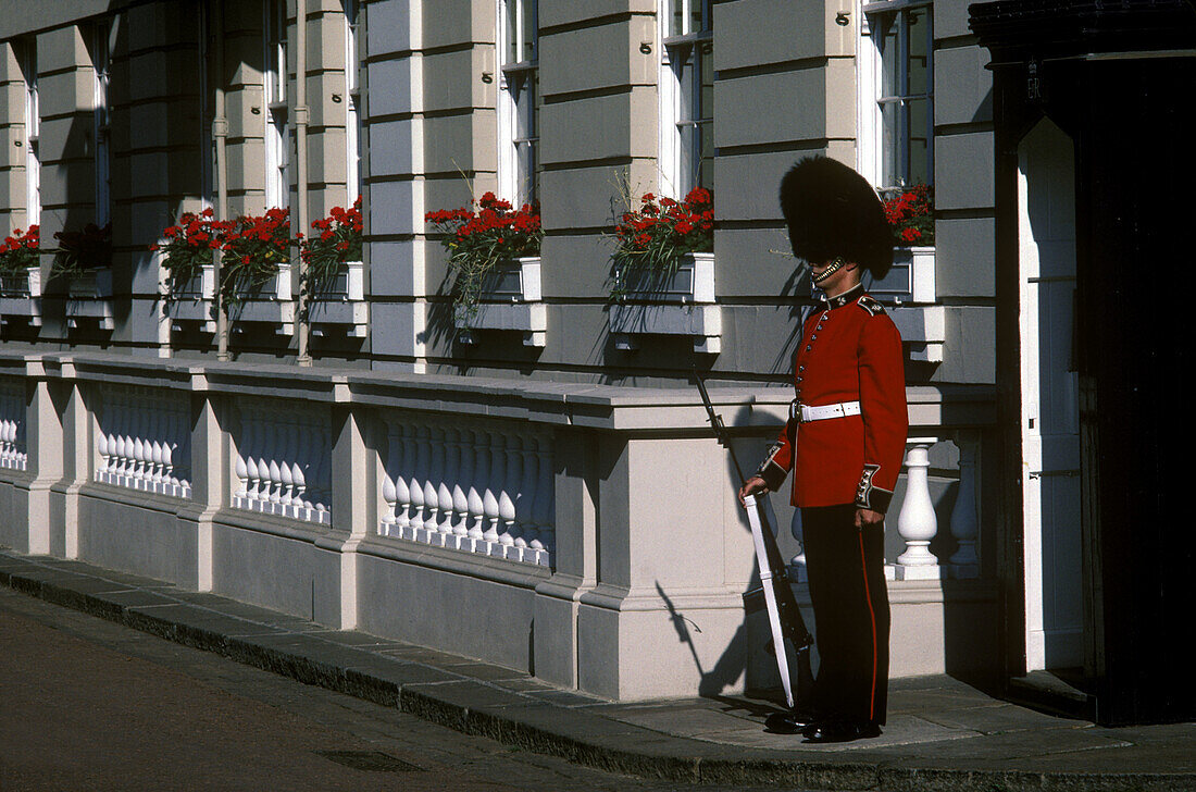 Guardsman, Saint James s palace, London, England, UK