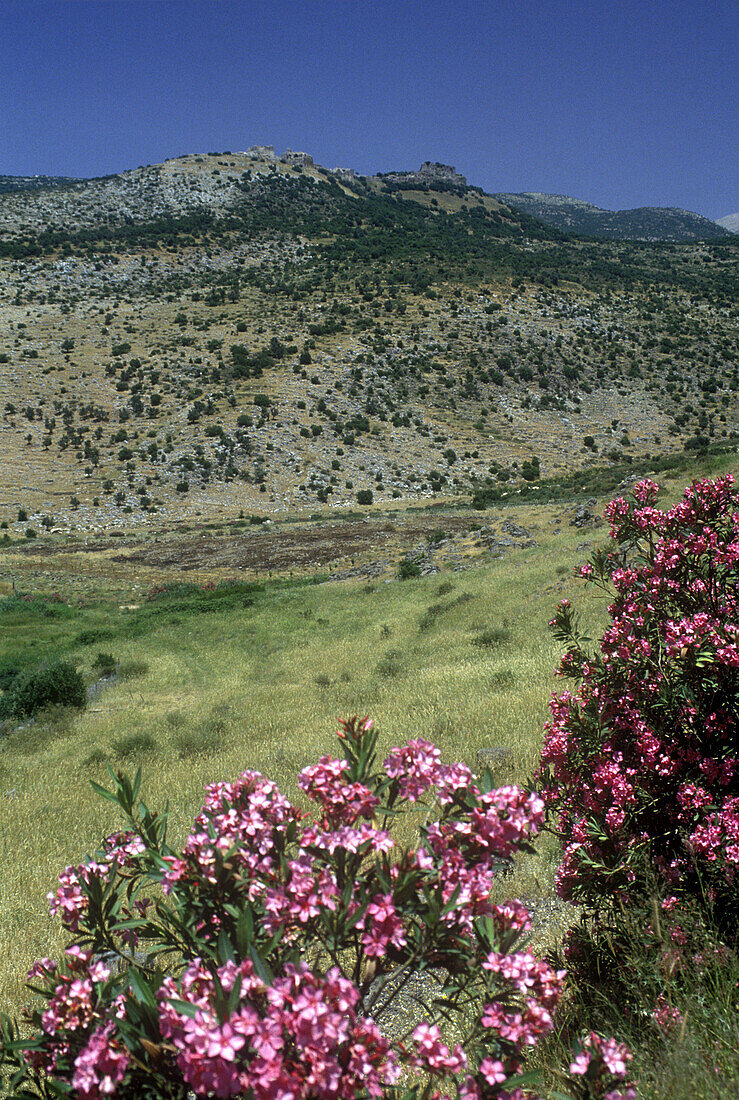 Scenic nimrod s fortress, Golan, Israel.