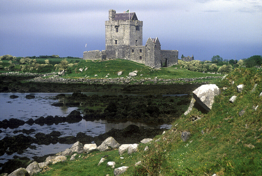 Dunguaire castle ruins, County galway, Ireland.