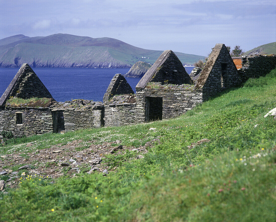 Cottage ruins, Coumanole, Slea head, Dingle bay coastline, County kerry, Ireland.