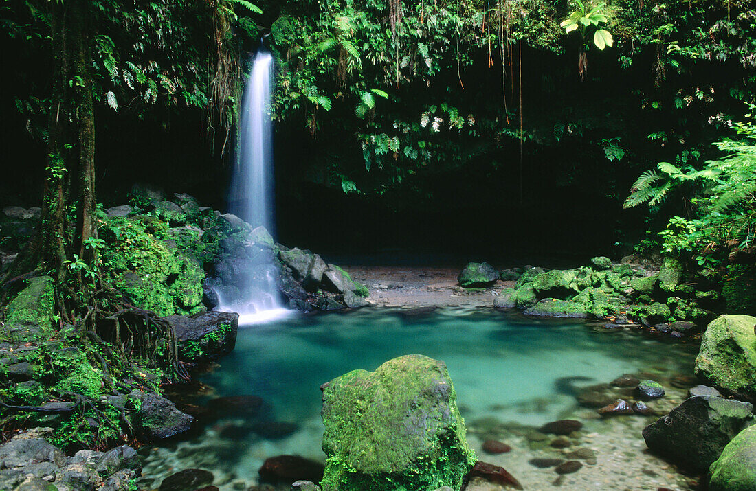 Emerald Pool. Morne Trois Pitons National Park. Dominica (UK). West Indies
