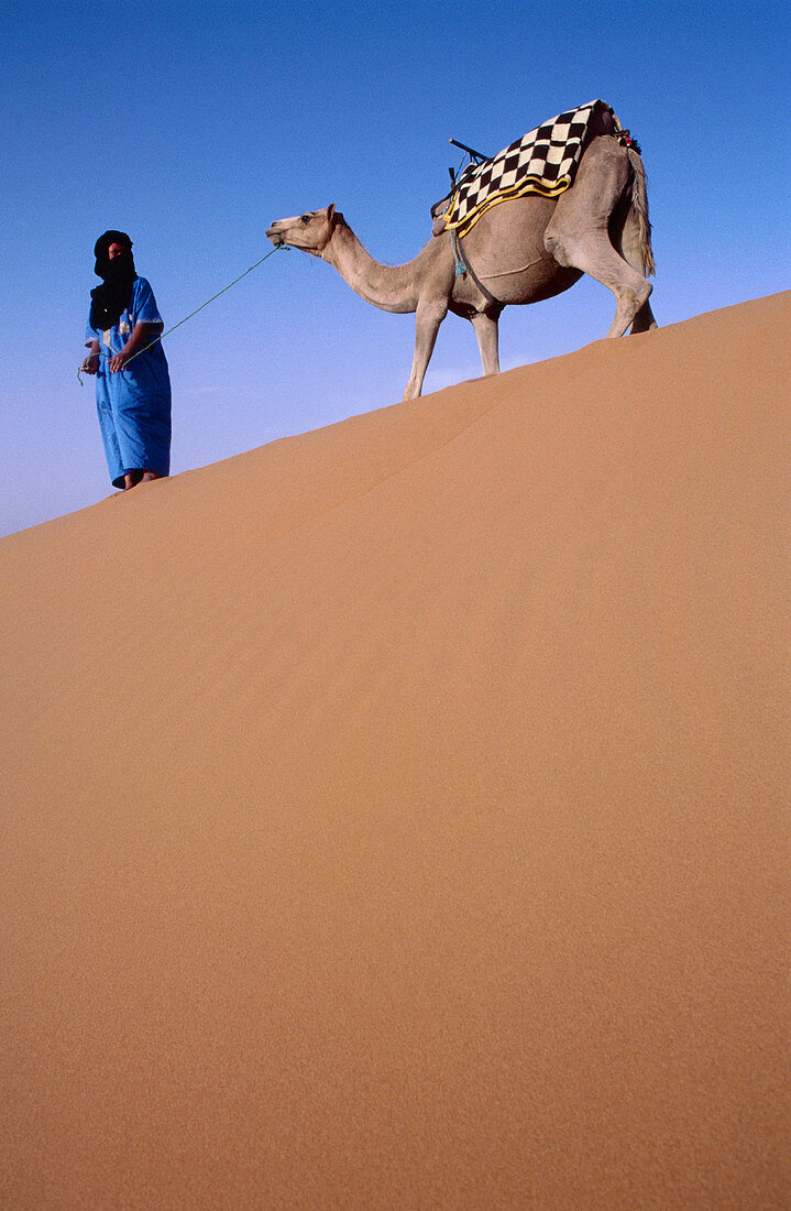 Tuareg with camel. Merzouga Dunes. Morocco