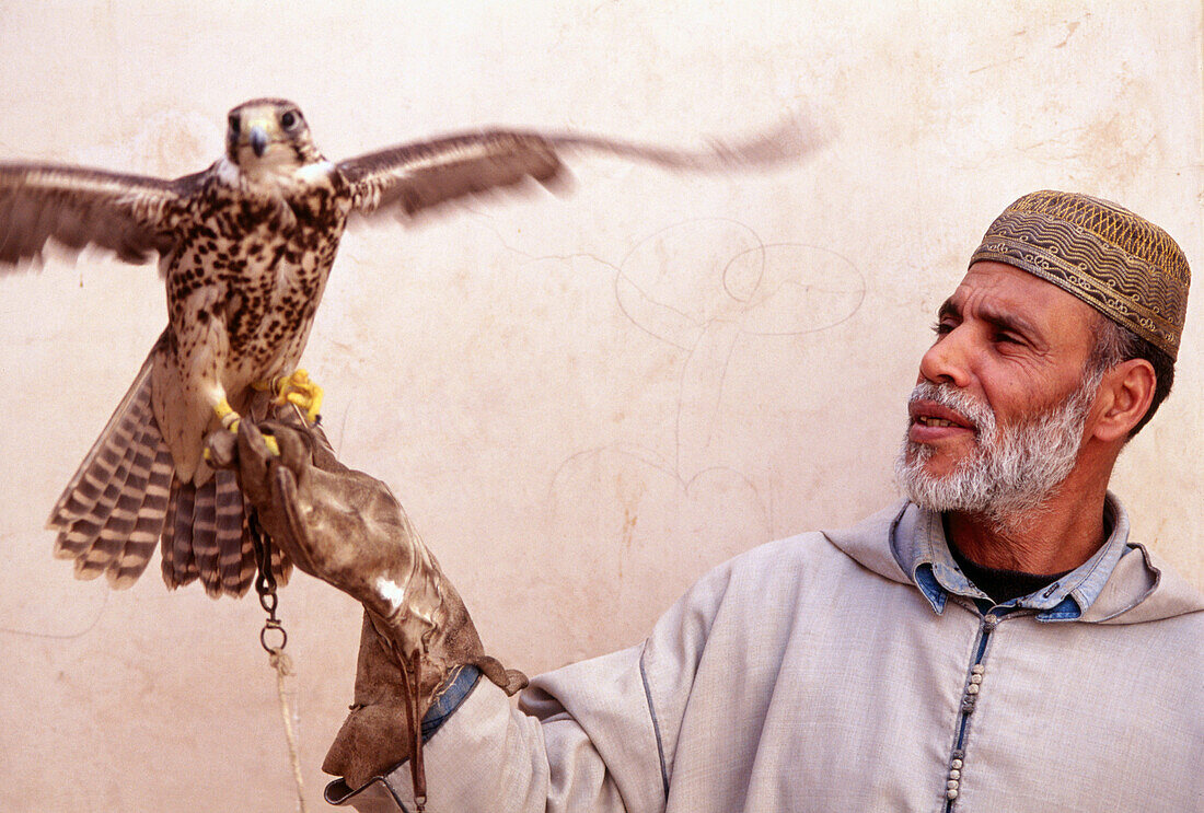 Man with a hawk. Marrakech. Morocco