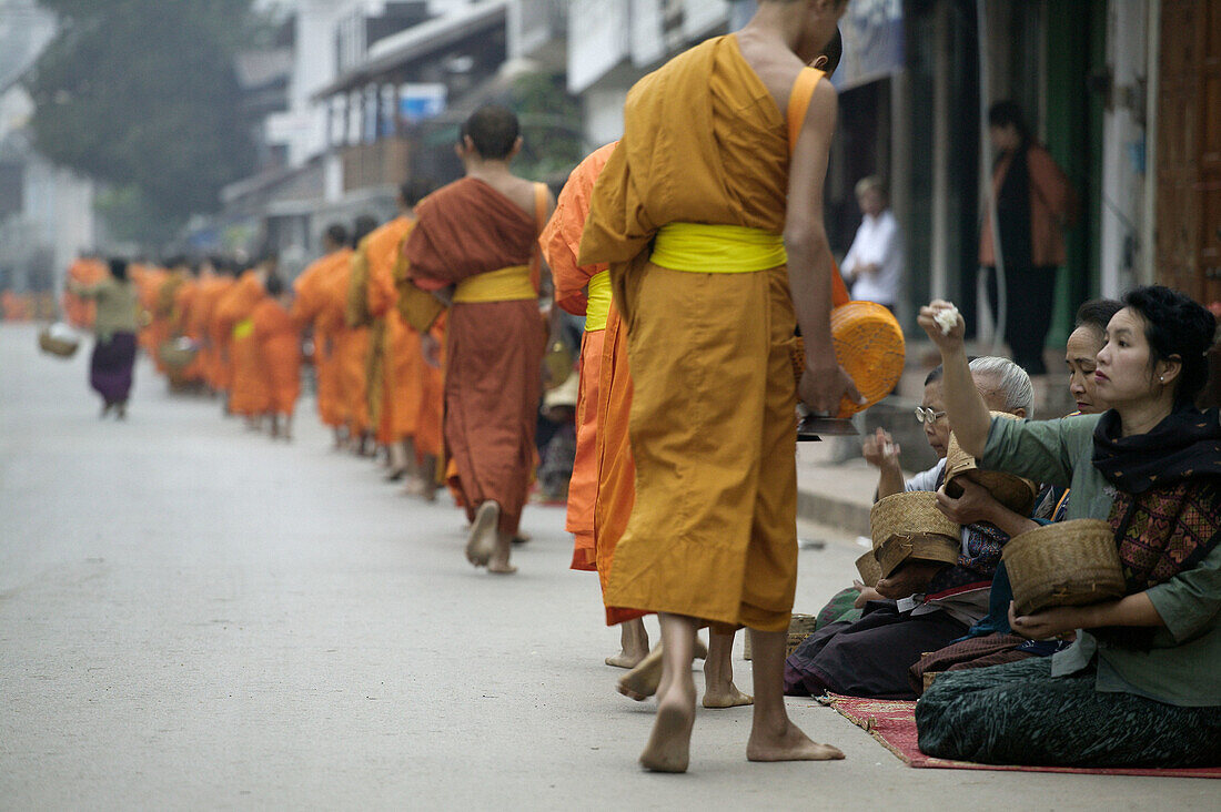 Monks collecting alms at sunrise, Luang Prabang. North Laos
