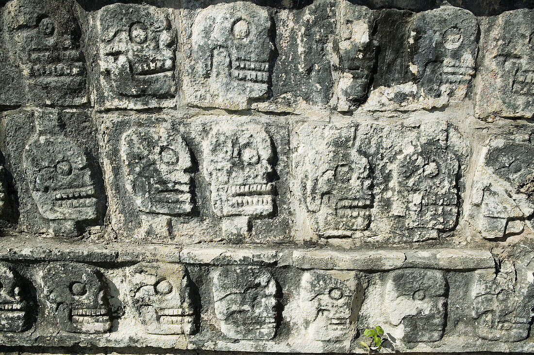 Wall of Skulls or Platform of Skulls (aka Tzompantli), Chichen Itza, Yucatan, Mexico