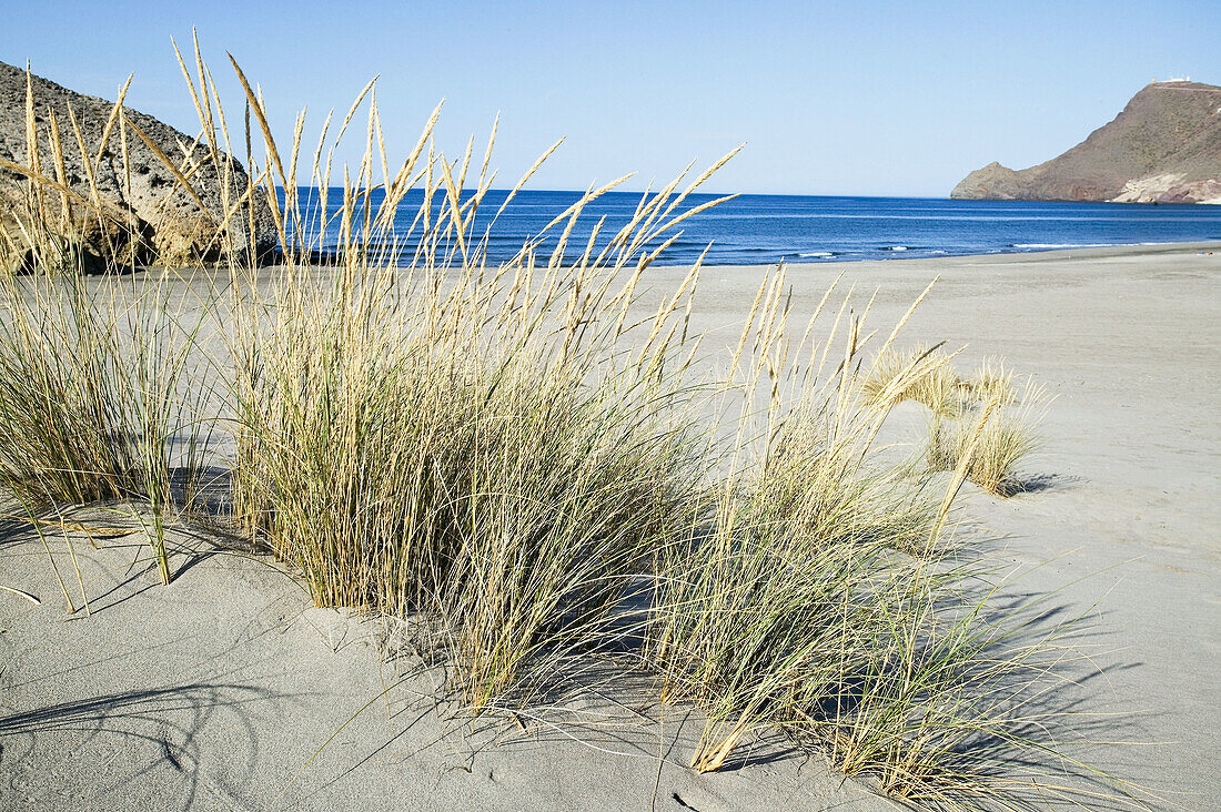 Monsul beach, Cabo de Gata-Níjar Natural Park. Almería province, Andalusia. Spain