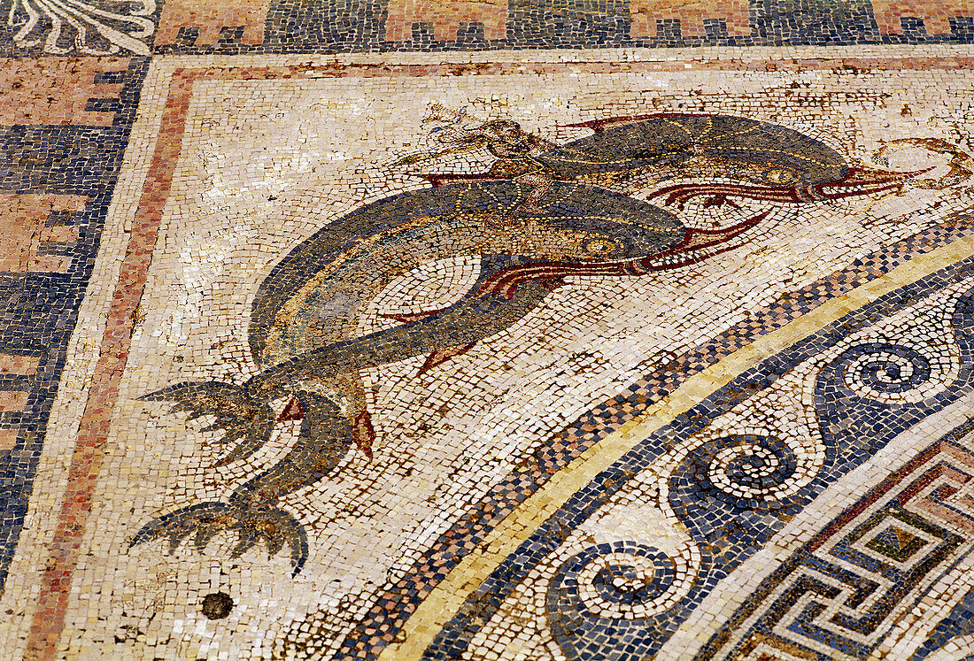 Mosaic in House of Dophins . Delos. Cyclades Islands. Greece