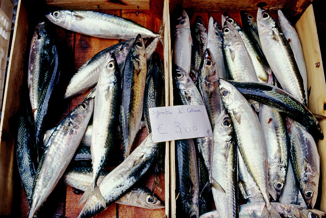 La Pescheria (fish market). Catania. Sicily. Italy