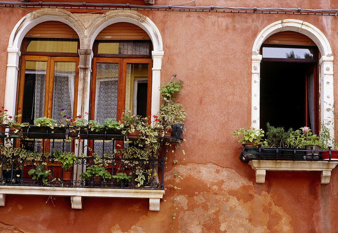 Façade of palazzo. Venice. Veneto, Italy