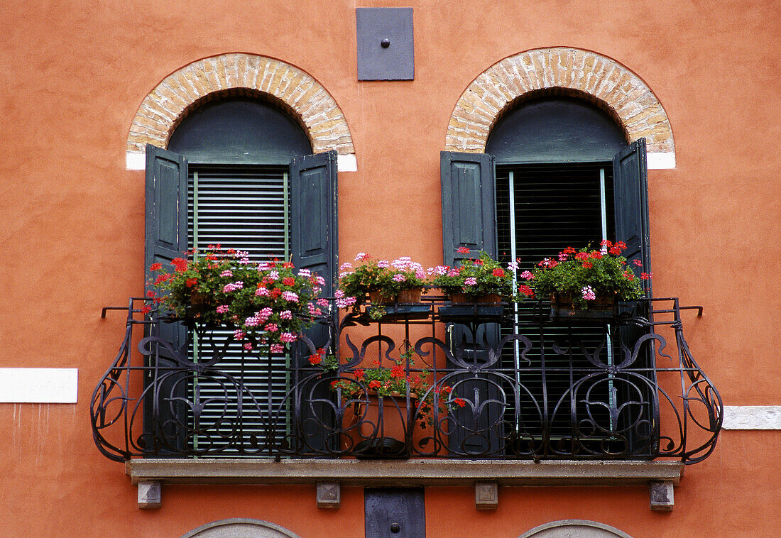 Façade of palazzo. Venice. Veneto, Italy