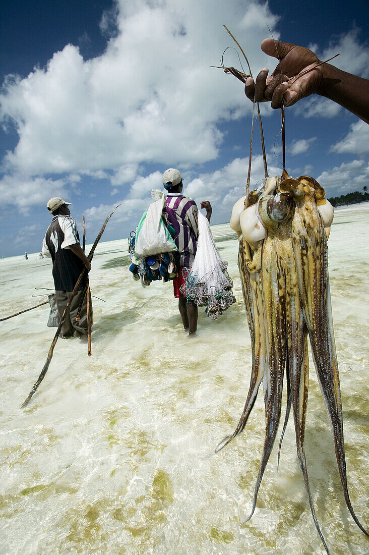Jambiani beach, Fishermen. Zanzibar … – License image – 70122333 ❘  lookphotos