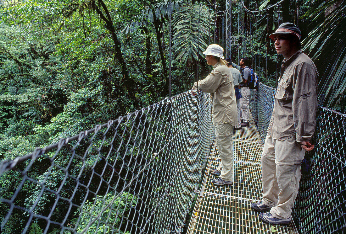 Hanging Bridges Trail, Arenal Volcano National Park. Costa Rica