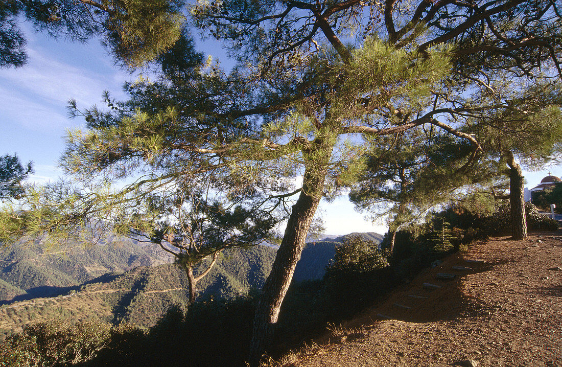 Troodos mountain range, Cyprus