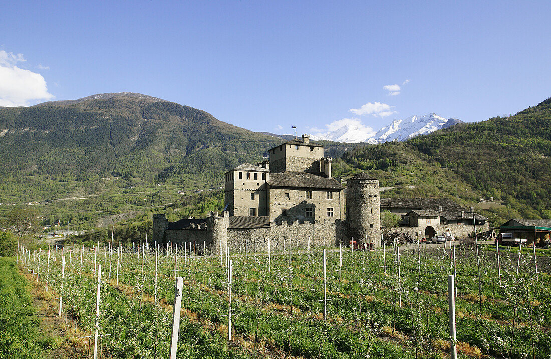 Sarriod de la Tour castle. Val d Aosta, Italy