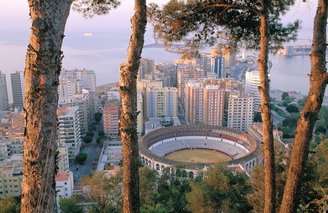 View of Málaga with its bullring. Andalusia. Spain