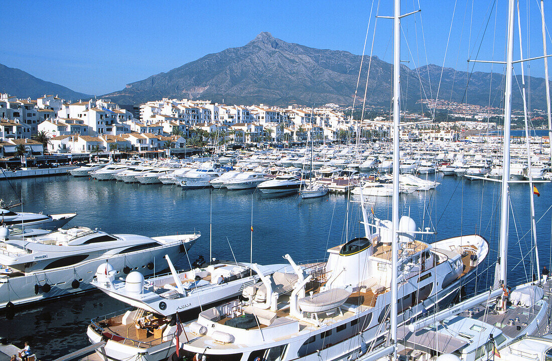 Harbour of Puerto Banus, near Marbella. Costa del Sol. Málaga province. Andalusia. Spain