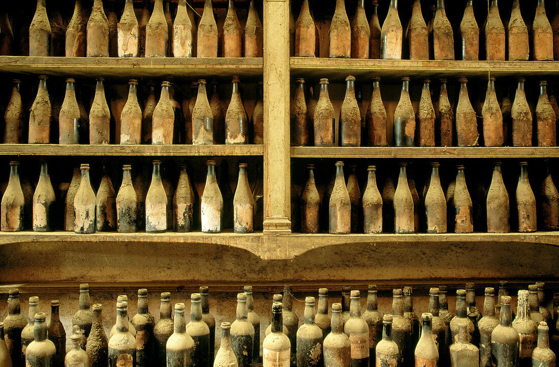 Bodega Gonzalez Byas, show room with old sherry, brandy and wine bottles. Jerez de la Frontera. Cadiz province. Andalusia. Spain