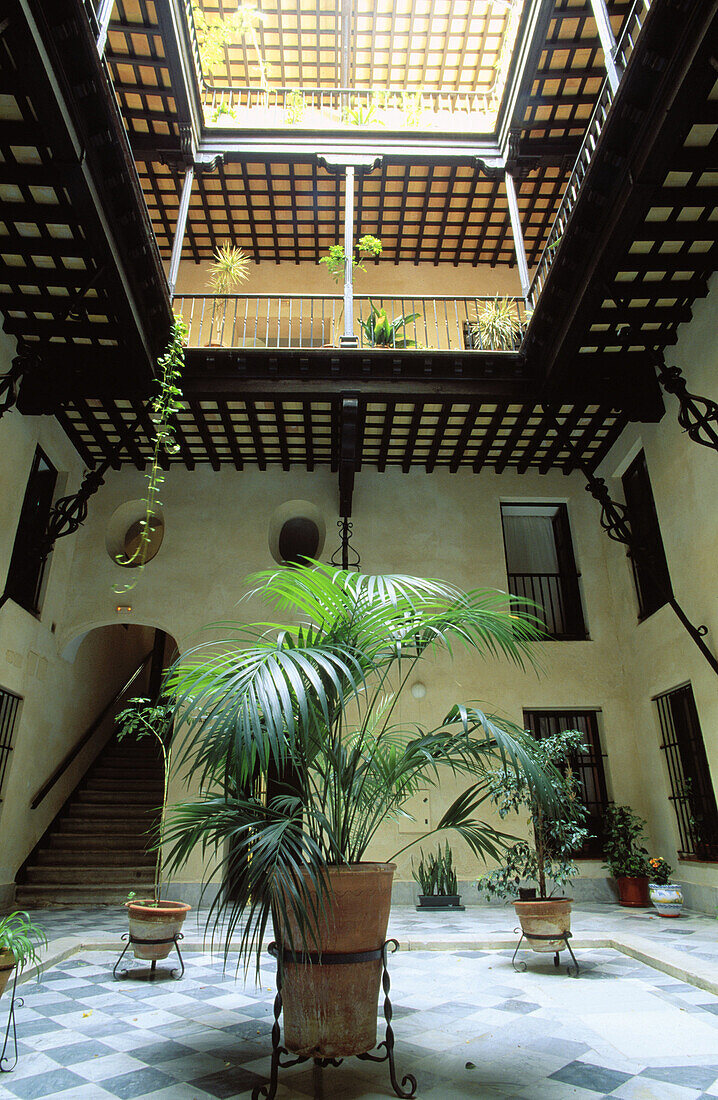 Patio. Cádiz. Andalusia. Spain