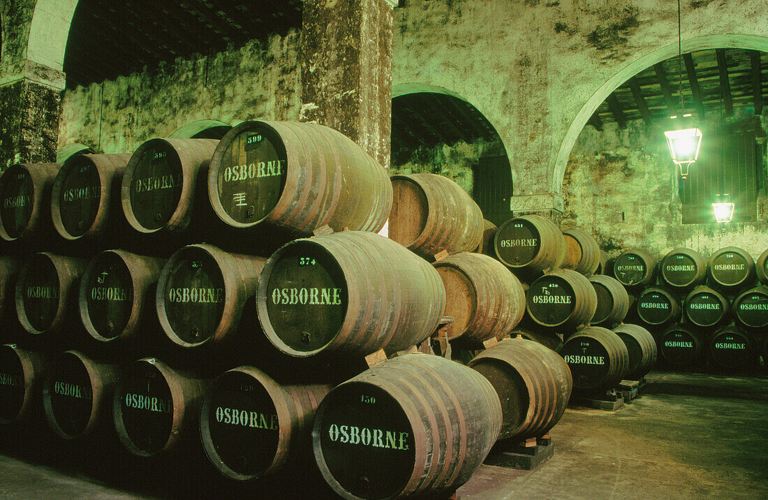 Stacked oak barrels in one of the cellars at the Bodega Osborne. Puerto de Santa María . Cádiz province. Andalusia. Spain