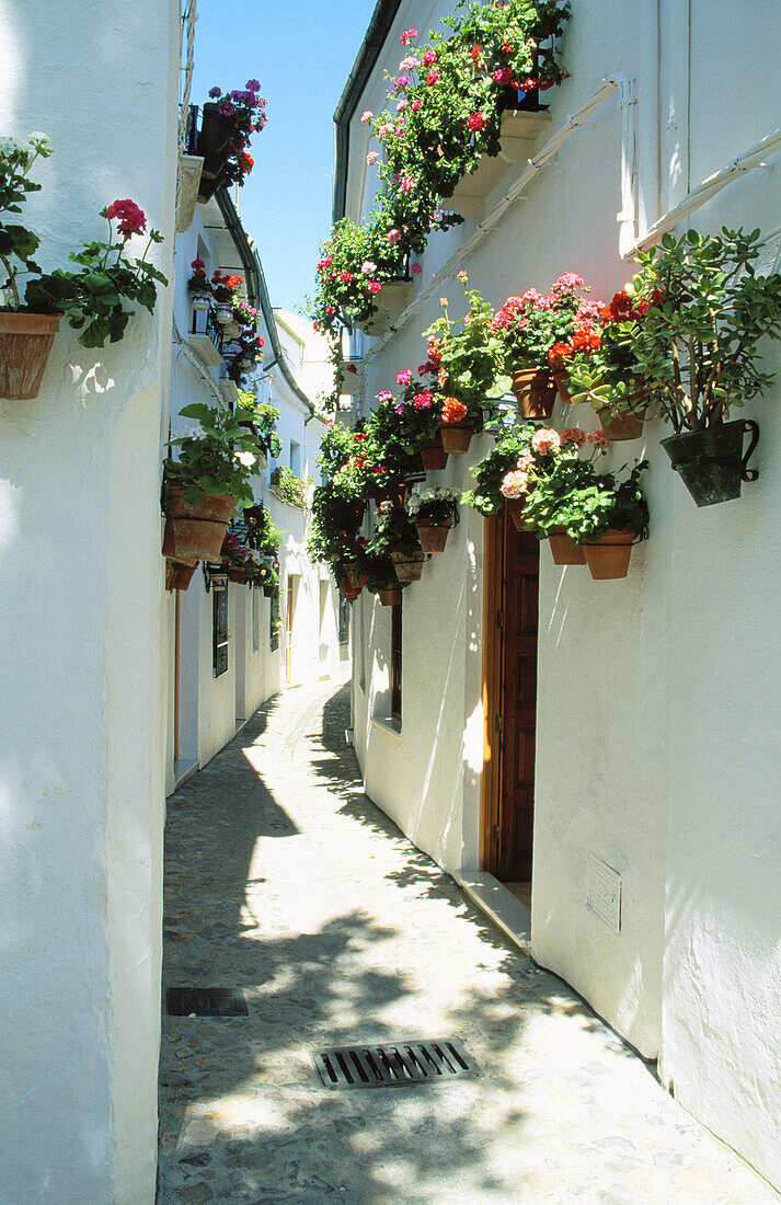 Narrow alleys loaded with geranium pots in old quartier Barrio de la Villa . Priego de Córdoba. Andalusia. Spain
