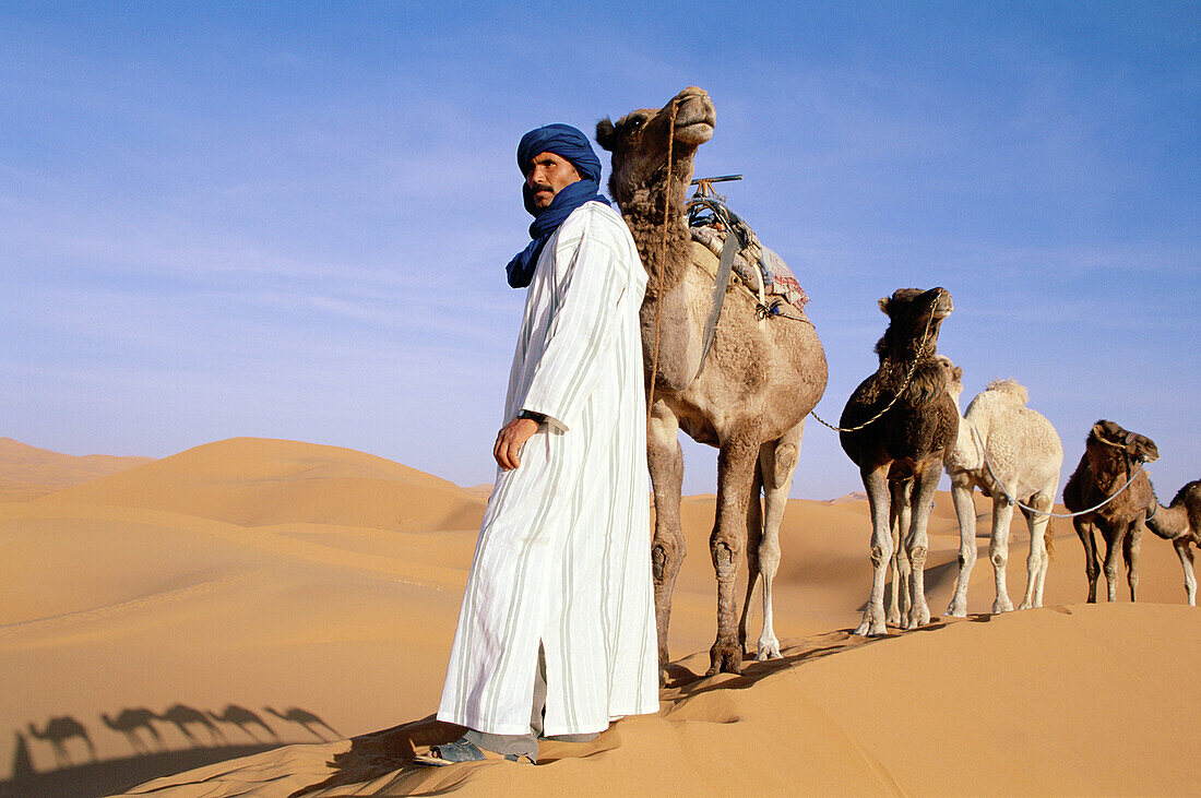 Berber with dromedaries in the great sand dunes of Erg Chebbi at Merzouga, Sahara desert. Southeast Morocco