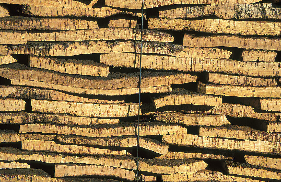 In a cork factory at Cortes de la Frontera: piled up barks of cork oaks (Quercus suber) soon will be manufactured into the final product, the bottle cork. Province of Málaga, Andalucía, Spain.