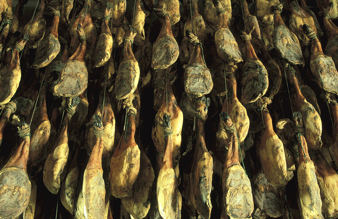 The king of hams, jamón ibérico or jamón pata negra (both acorn-fed ham) in a curing factory in the town of Jabugo in the Sierra de Aracena. Province of Huelva, Andalucía, Spain.