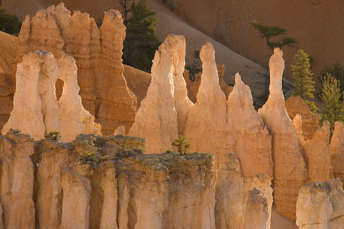 Pinnacles of limestone rock (so-called hoodoos) and eroding fins in the spectacular Bryce Amphitheatre. Bryce Canyon National Park, Utah, USA.