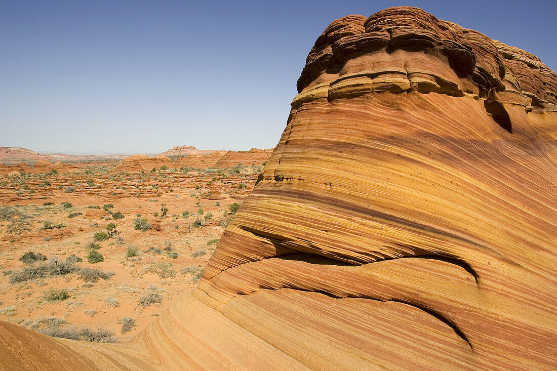 Beautiful red and yellow striated Navajo sandstone at the North Coyote Buttes. Paria Canyon-Vermilion Cliffs Wilderness, Vermilion Cliffs National Monument, Arizona, USA.