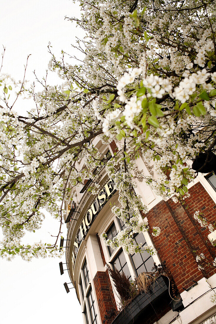 Town House Pub, Ealing Broadway, London, England, Great Britain