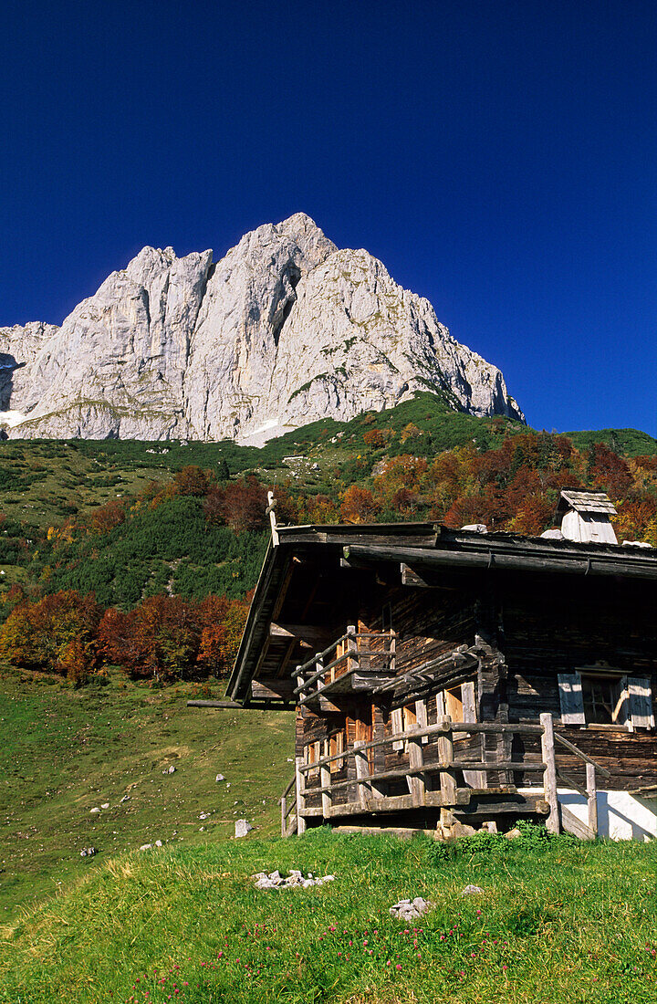 traditionelles Almgebäude vor Wilder Kaiser, Kaisergebirge, Tirol, Österreich