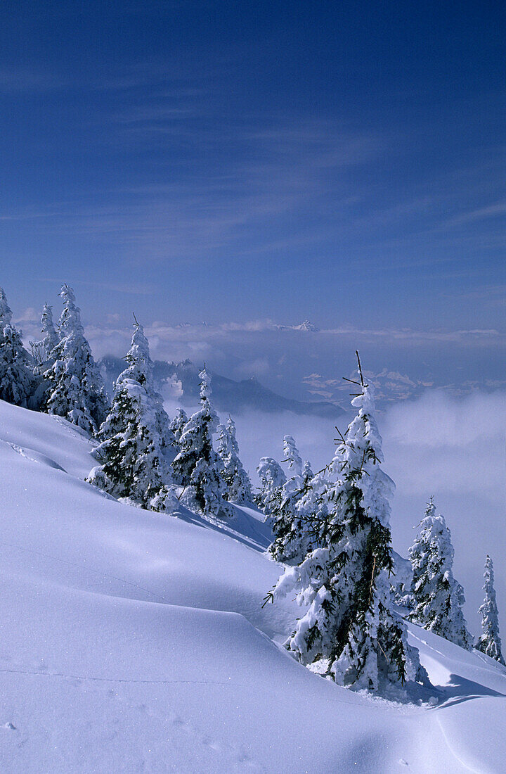 Winter scenery with fog bank in the valley, Hochries, Chiemgau Alps, Upper Bavaria, Bavaria, Germany