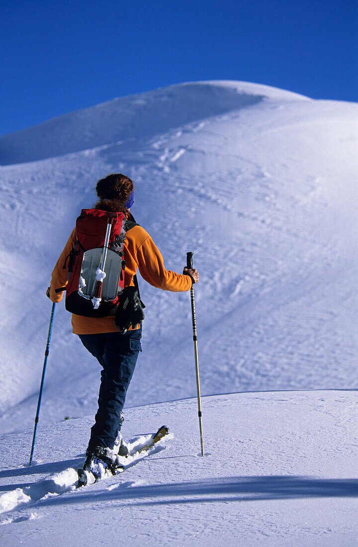 Woman backcountry skiing with avalanche shovel at backpack, Chiemgau Alps, Upper Bavaria, Bavaria, Germany