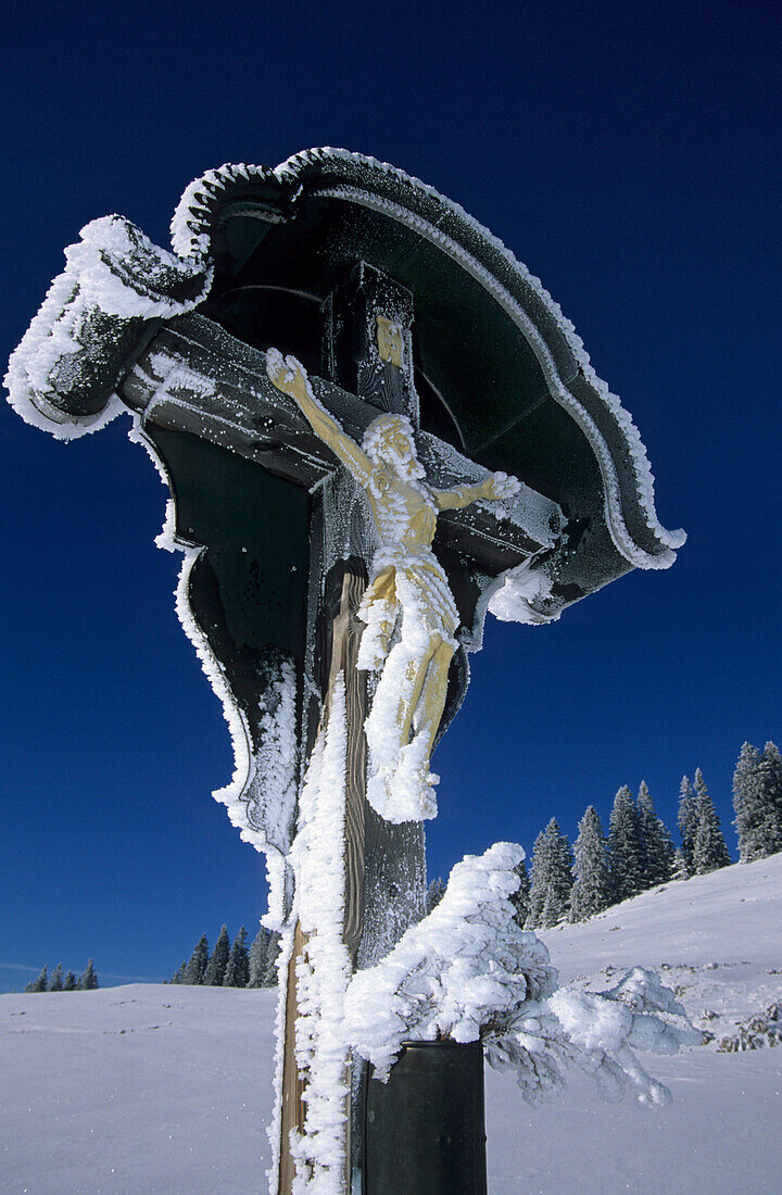 Crucifix with hoar frost, Hochries, Chiemgau Alps, Upper Bavaria, Bavaria, Germany