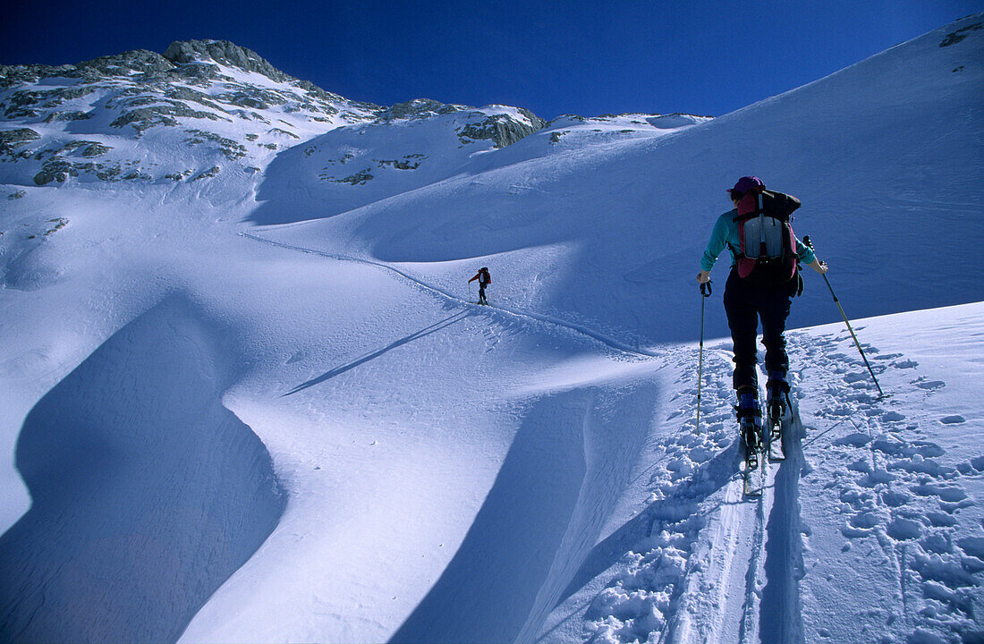 Backcountry skiers on tour at Hagen range, Berchtesgaden Alps, Upper Bavaria, Bavaria, Germany