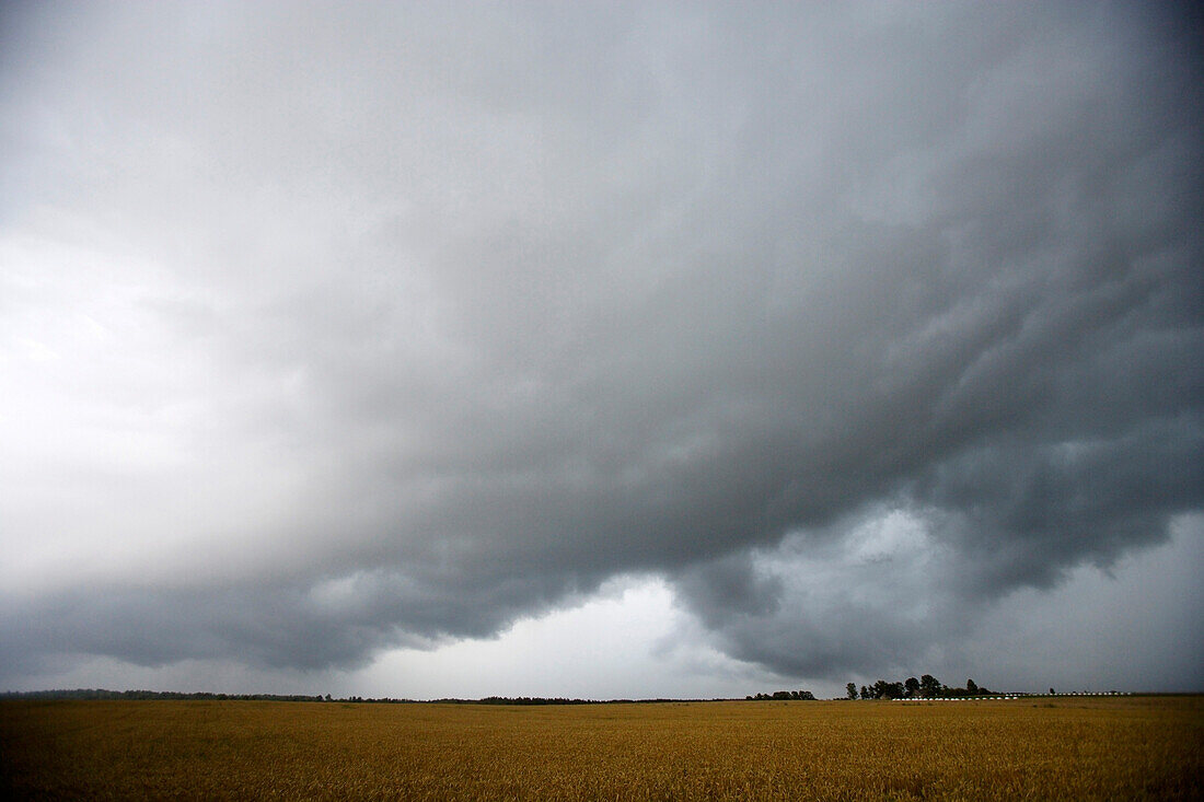 Courland with storm clouds, Thunderstorm, Latvia