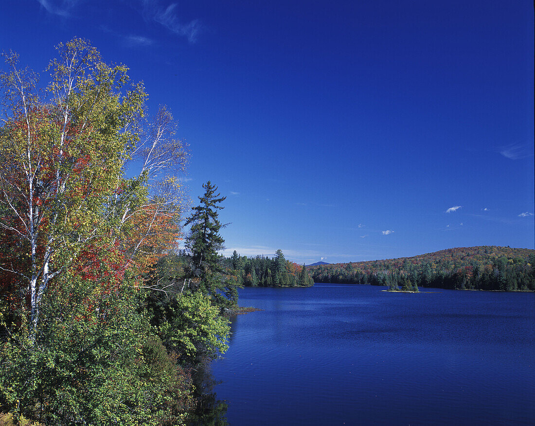 Scenic fall foliage, Lake abanake, Adirondack Park, New York, USA
