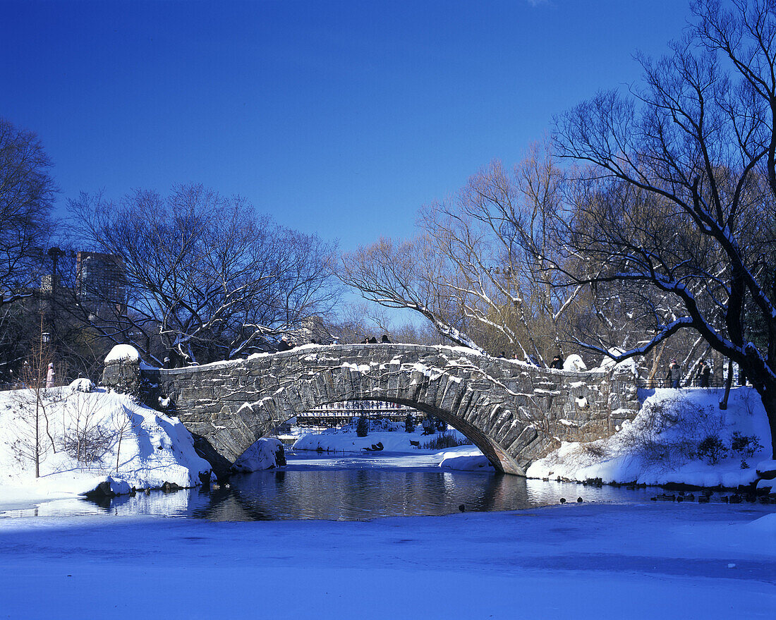 Snow, Capstow bridge, Pond, Central Park, Manhattan, New York, USA